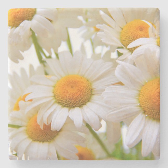 Ljus Sommarmargueriter Blommor Stenunderlägg (Framsidan)