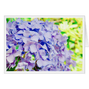 Ljus sommarvanlig hortensia OBS kort