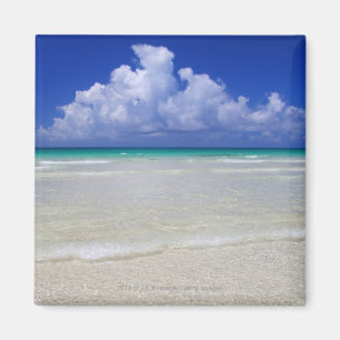 Ljus strand magnet