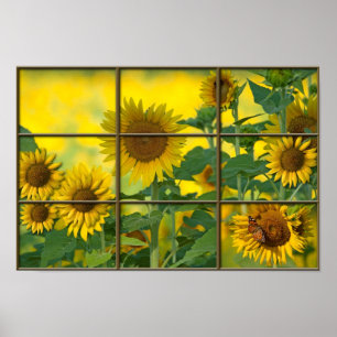Ljus Sunshiny dag Poster