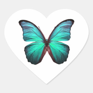 Ljus teal Butterfly Hjärtformat Klistermärke