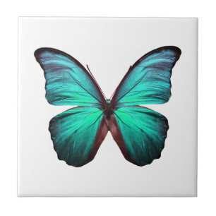 Ljus teal Butterfly Kakelplatta