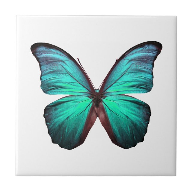 Ljus teal Butterfly Kakelplatta (Framsidan)