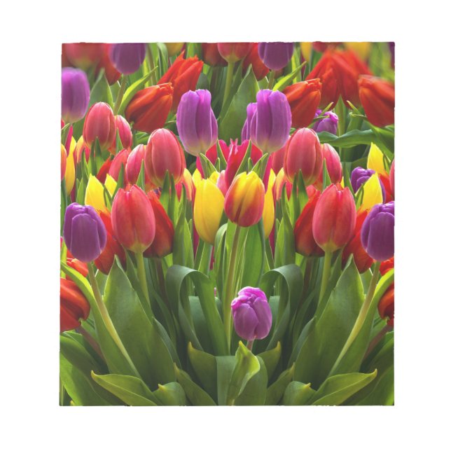 Ljus Tulips Anteckningsblock (Framsida)