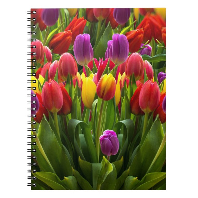 Ljus Tulips Anteckningsbok (Framsidan)