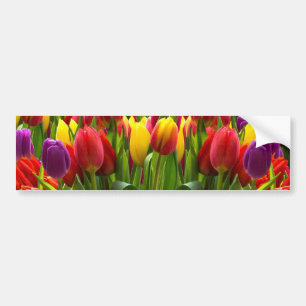 Ljus Tulips Bildekal