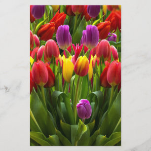 Ljus Tulips Brevpapper