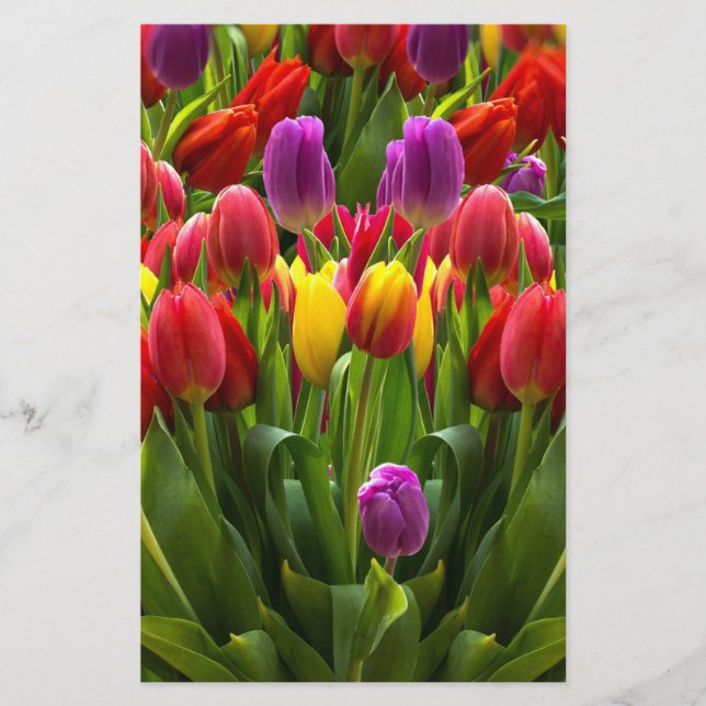 Ljus Tulips Brevpapper (Framsida)
