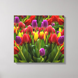 Ljus Tulips Canvastryck