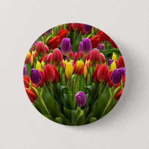Ljus Tulips Knapp