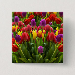 Ljus Tulips Knapp