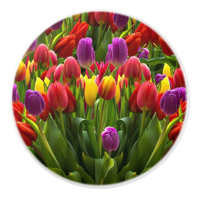 Ljus Tulips Knopp (Framsidan)