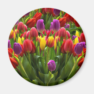 Ljus Tulips Magnet