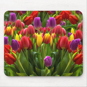 Ljus Tulips Musmatta