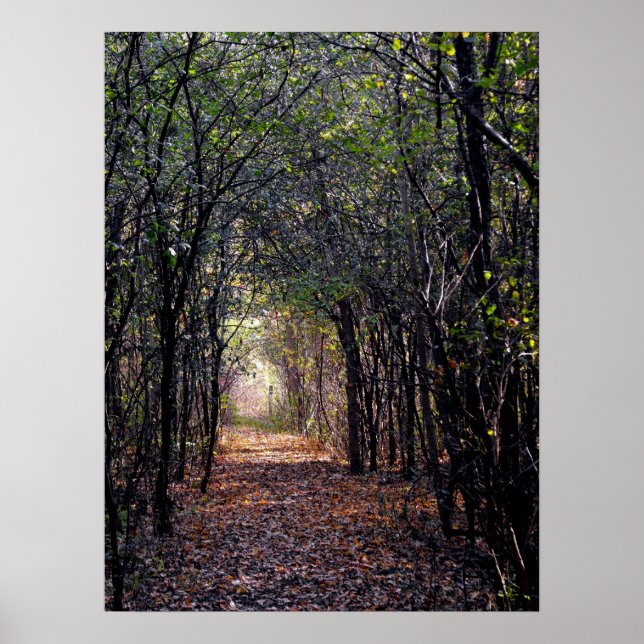 Ljus vid Väg Poster (Framsidan)