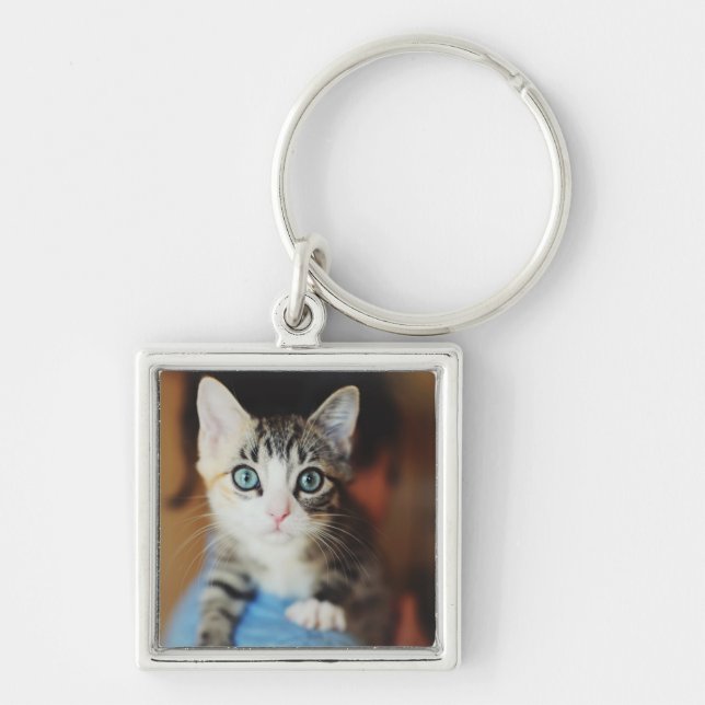 Ljusa blått synad kattunge fyrkantig silverfärgad nyckelring (Framsidan)
