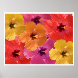 Ljusa blommor poster