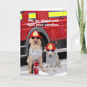 Ljusa dina ljus kort