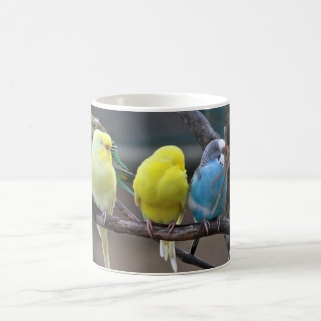 Ljusa färgrika parakiter Budgies mekaniskt säga Kaffemugg (Center)