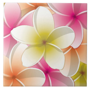 Ljusa Frangipani/Plumeriablommor Kakelplatta