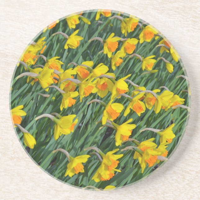 Ljusa gult vår-daffodils-trädgård underlägg (Framsidan)