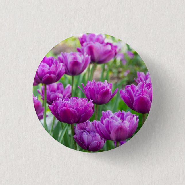Ljusa lilaxtulister på en solig dag knapp (Framsida)