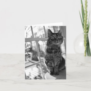 Ljusa ögon Notecard för nätt kattunge Kort