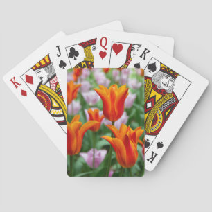 Ljusa orange-tulpaner i parken casinokort