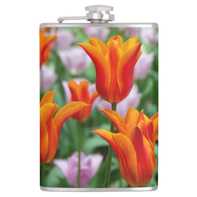 Ljusa orange-tulpaner i parken fickplunta (Framsidan)