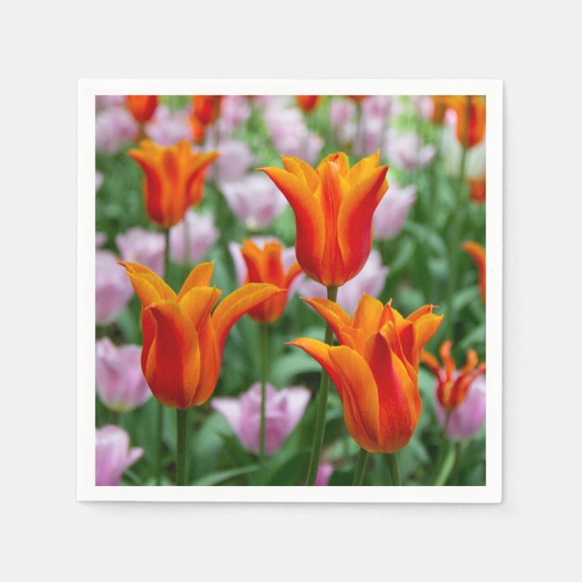 Ljusa orange-tulpaner i parken pappersservett (Framsidan)