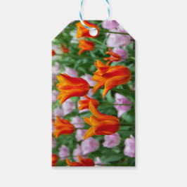 Ljusa orange-tulpaner i parken presentetikett