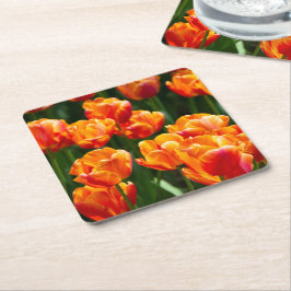 Ljusa orange-tulpaner i parken underlägg papper kvadrat
