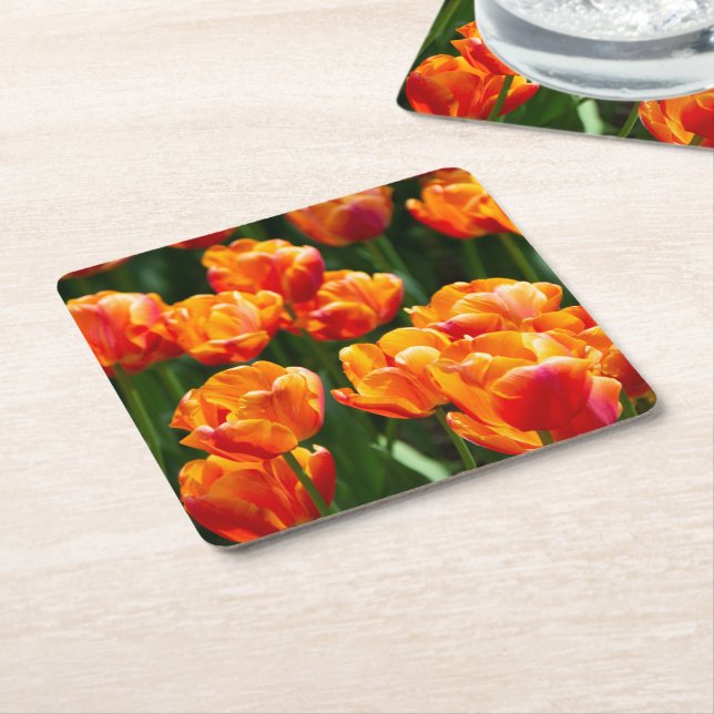 Ljusa orange-tulpaner i parken underlägg papper kvadrat (Vinklad)