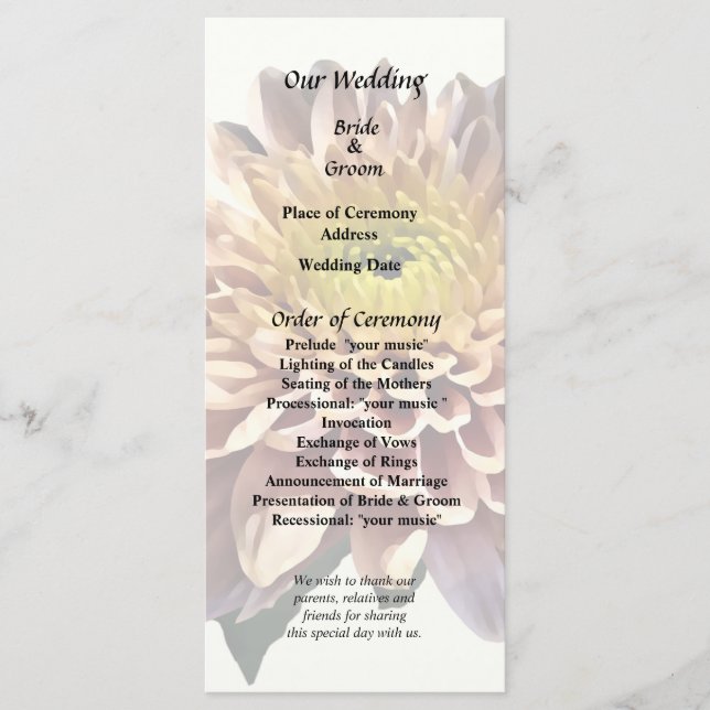 Ljusa rosa Chrysanthemums Program (Framsida)
