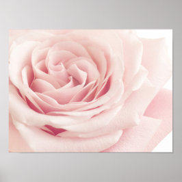 Ljusa rosa Ro-blomman - Rosor Flowers Blommigt Poster