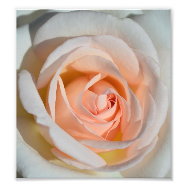 Ljusa rosa Ro Fototryck (Framsidan)