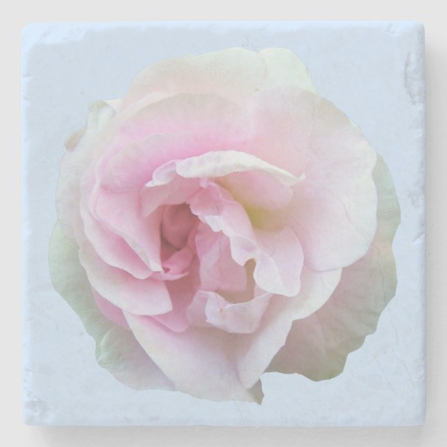 Ljusa rosa Ro på ljusblå blått Stenunderlägg (Framsidan)