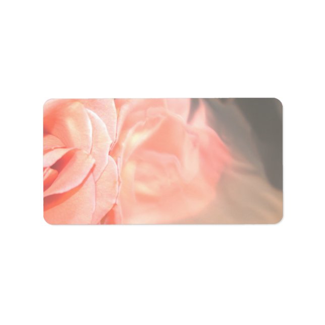 Ljusa rosa ro-reflektionen i silver adressetikett (Framsidan)