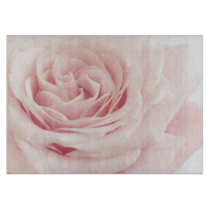 Ljusa - rosa rosblomma - ro blommar blommigt