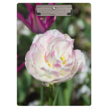 Ljusa rosa-tulpaner på en solig dag