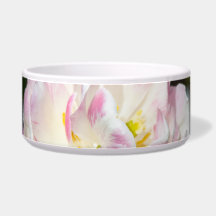 Ljusa rosa-tulpaner på en solig dag