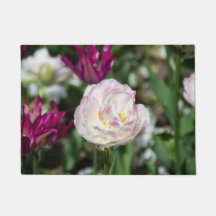 Ljusa rosa-tulpaner på en solig dag