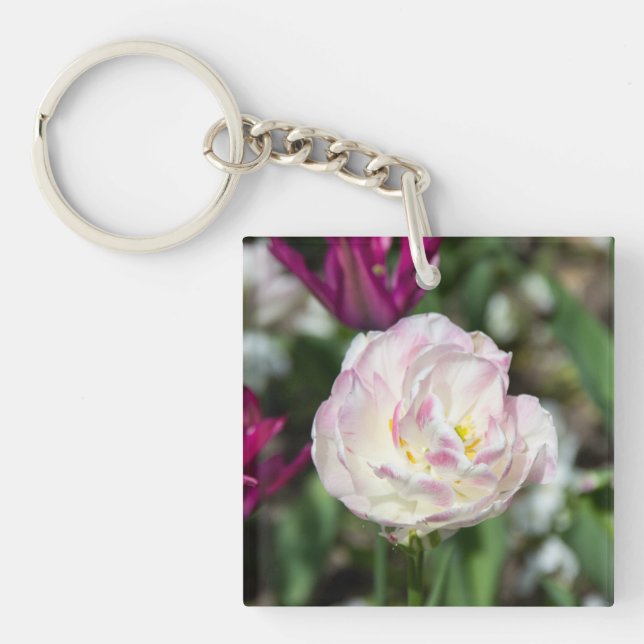 Ljusa rosa-tulpaner på en solig dag (Framsidan)