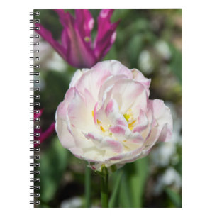 Ljusa rosa-tulpaner på en solig dag anteckningsbok