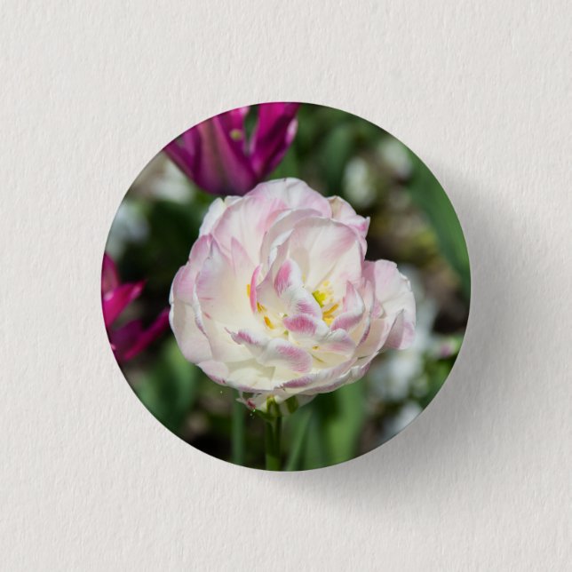 Ljusa rosa-tulpaner på en solig dag knapp (Framsida)