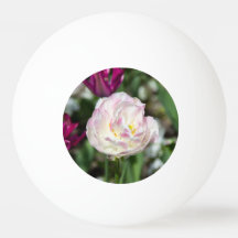 Ljusa rosa-tulpaner på en solig dag