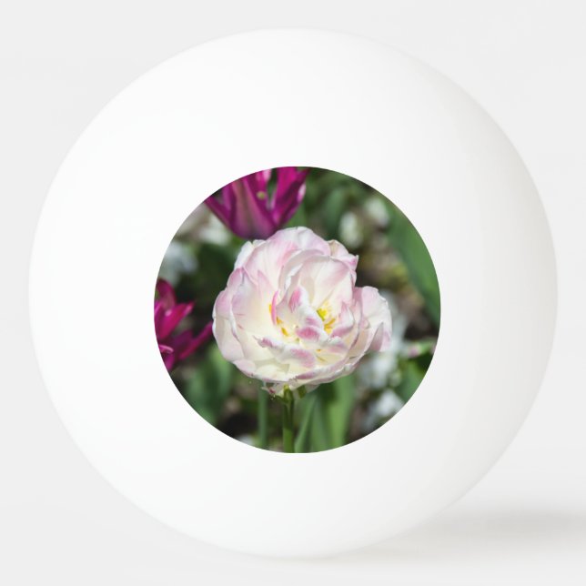 Ljusa rosa-tulpaner på en solig dag pingisboll (Framsidan)