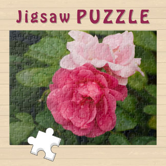 Ljusande rosa ros Rosor estetisk blomma Foto Pussel
