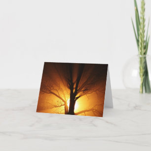 Ljusanteckningskort Kort