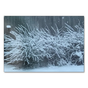Ljusare, annons, vid snö-temat läsande blixtkort bordsnummer